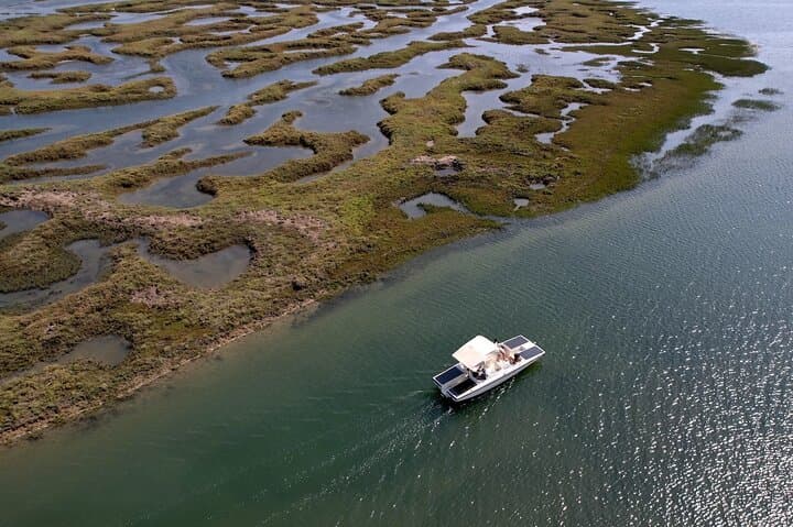 Eco Solar Boat Tour in Ria Formosa Lagoon — Faro's Sustainable Wildlife Cruise