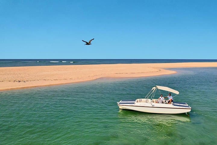Solar-Powered Birdwatching in Ria Formosa: Eco Boat Tour from Faro