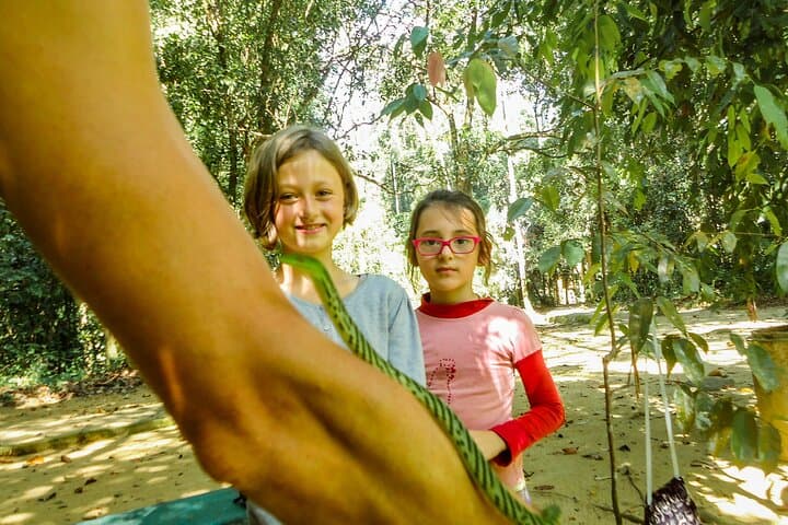 Sinharaja Rainforest Half-Day Guided Walk: Endemic Wildlife, Waterfalls & Fish Therapy photo 4