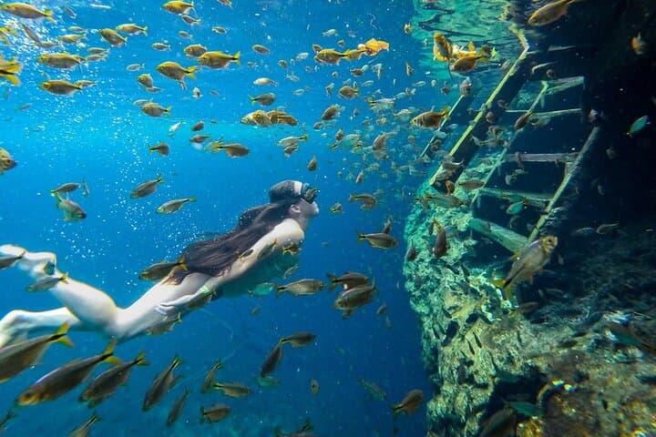 Playa del Carmen Cenotes Tour: Swim Yum-Ha, Luna & Sombra photo 6