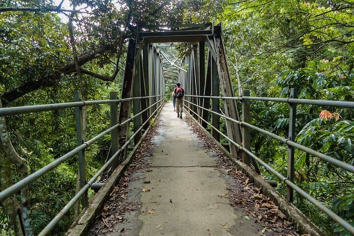 Sinharaja Rainforest Half-Day Guided Walk: Endemic Wildlife, Waterfalls & Fish Therapy photo 5