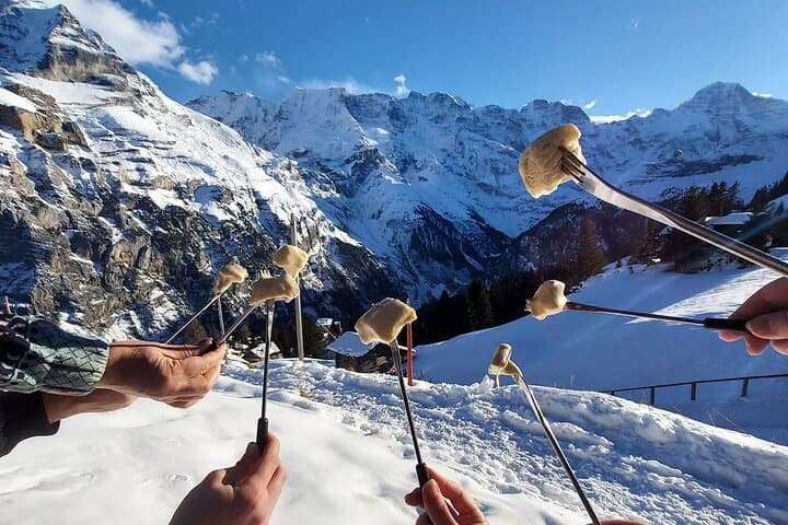 Sledding, Cheese Fondue & Chocolate Tasting on Grindelwald Slopes photo 3