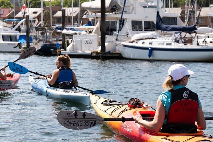 Morning Kayak & Coffee on Granville Island: 3‑Hour False Creek Paddle photo 5