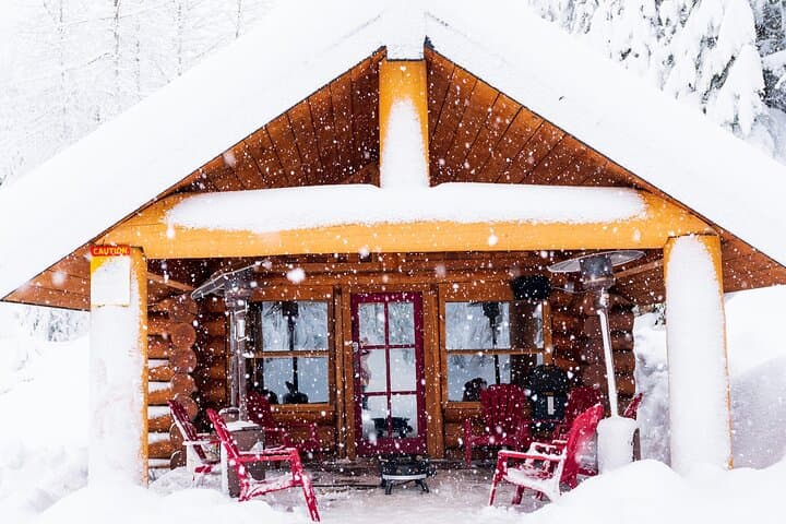 Whistler Backcountry Snowmobile Tour — 3-Hour Wilderness Adventure with Cabin BBQ photo 3