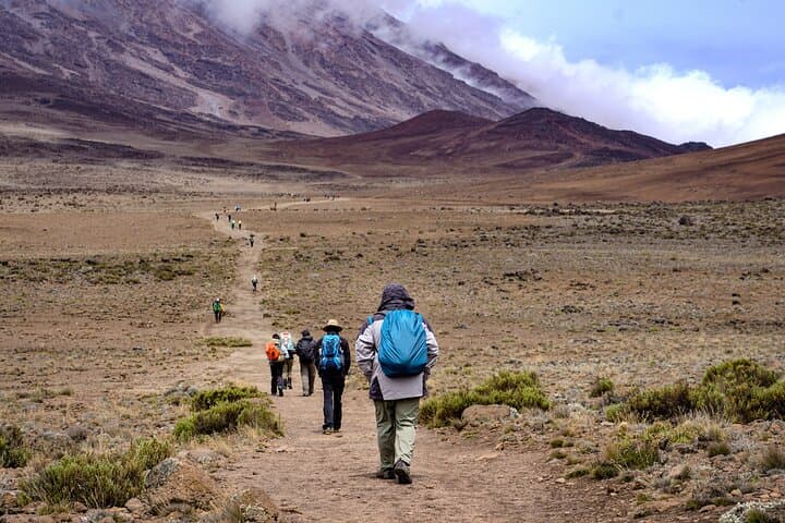 7-Day Machame Route: Kilimanjaro Summit Trek with Professional Guide