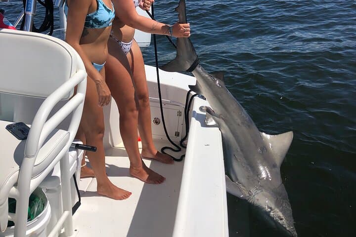 Shark Fishing Tampa Bay: Half-Day Charter for Hook-to-Hold Encounters photo 2