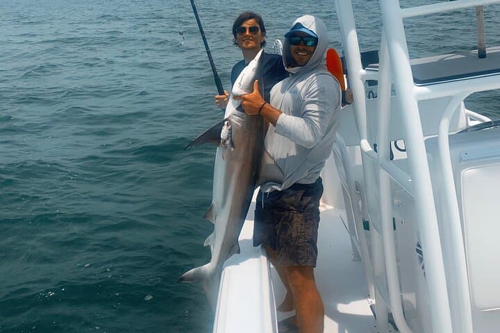 Shark Fishing Tampa Bay: Half-Day Charter for Hook-to-Hold Encounters photo 3