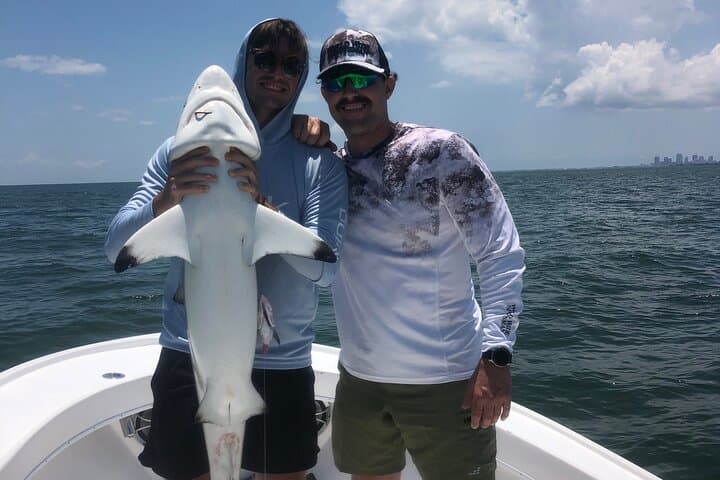 Shark Fishing Tampa Bay: Half-Day Charter for Hook-to-Hold Encounters photo 4