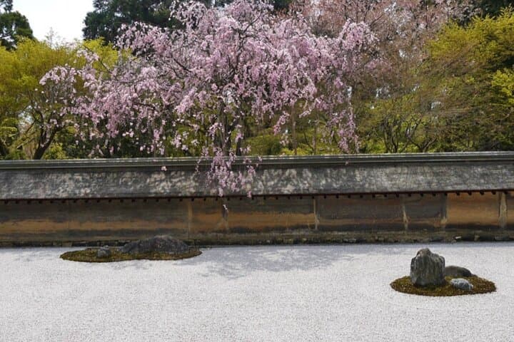 Kyoto Golden Pagoda & Arashiyama Bamboo Forest Tour — English Guide photo 4