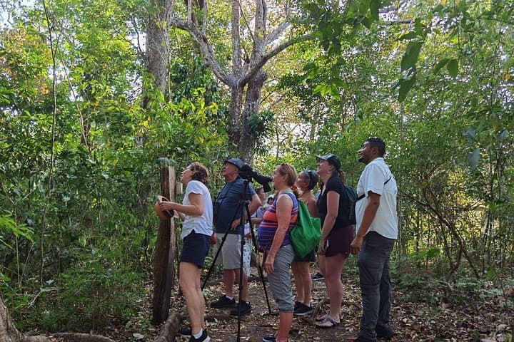 La Cruz Mangrove & Village Tour — Monkeys, Beaches and Local Life photo 2