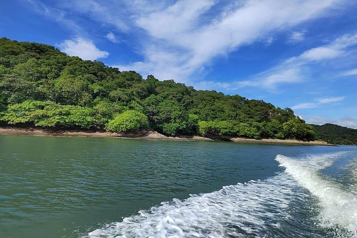 La Cruz Mangrove & Village Tour — Monkeys, Beaches and Local Life photo 3