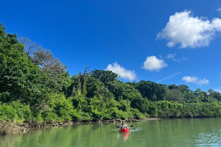 Mangrove Kayak & Sea Fishing in Okinawa: Paddle Kadena's Mangroves and Catch Coastal Color photo 5