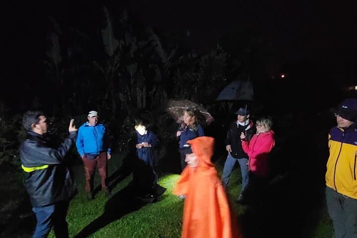 Monteverde Night Walk: Guided Nocturnal Cloud-Forest Tour at Finca Ficus photo 3