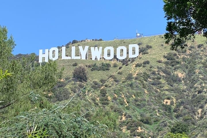 Los Angeles Private Tour: Hollywood, Griffith & Beverly Hills Highlights
