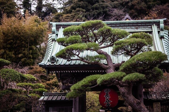 Kamakura Full-Day Private Tour: Great Buddha, Temples & Bamboo Grove photo 4