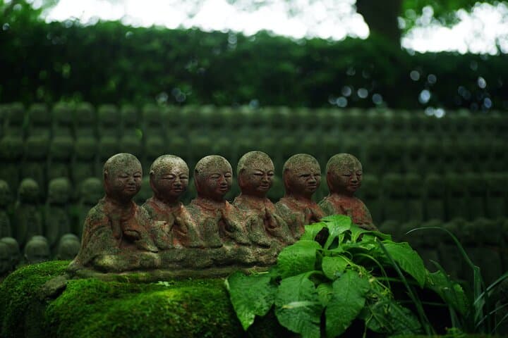Kamakura Full-Day Private Tour: Great Buddha, Temples & Bamboo Grove photo 6