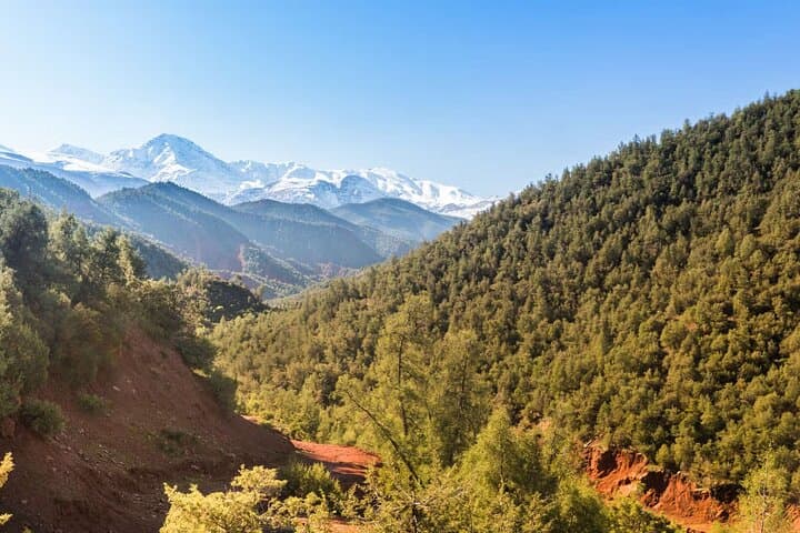 Ourika Valley Day Hike from Marrakech — Waterfalls, Berber Lunch & Village Trails photo 6