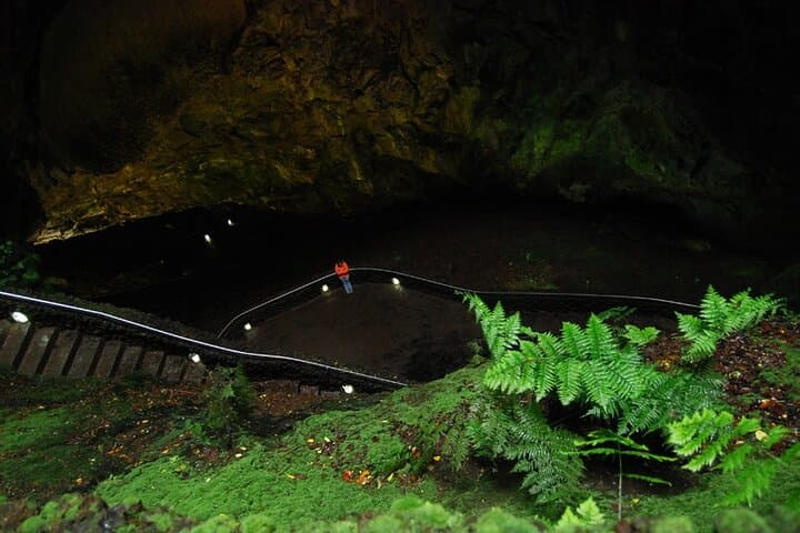 Explore Terceira's Volcanic Heart: Private Caves Tour with a Geologist