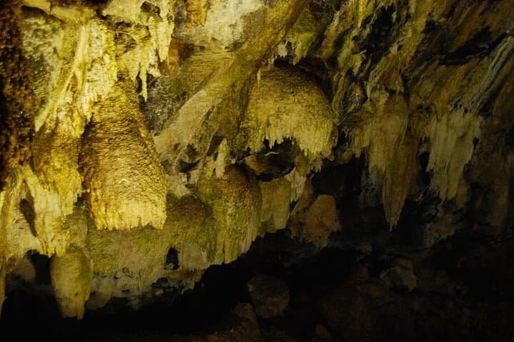 Explore Terceira's Volcanic Heart: Private Caves Tour with a Geologist photo 2