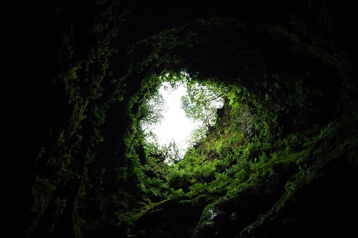 Explore Terceira's Volcanic Heart: Private Caves Tour with a Geologist photo 3