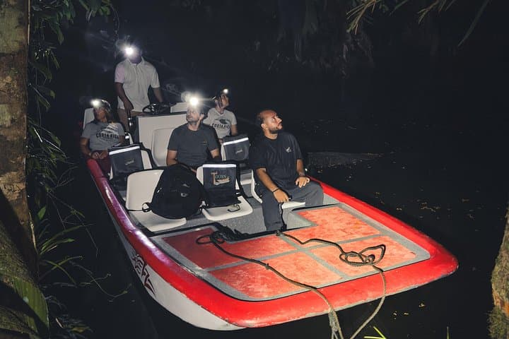 Secret Night Walk in Tortuguero: Night Wildlife Tour in Costa Rica's Wetlands photo 3
