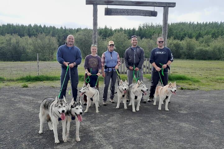Hiking with Husky near Akureyri: Coastal Forest Walk & Dog-Farm Visit photo 3