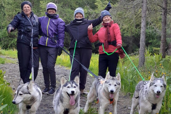 Hiking with Husky near Akureyri: Coastal Forest Walk & Dog-Farm Visit