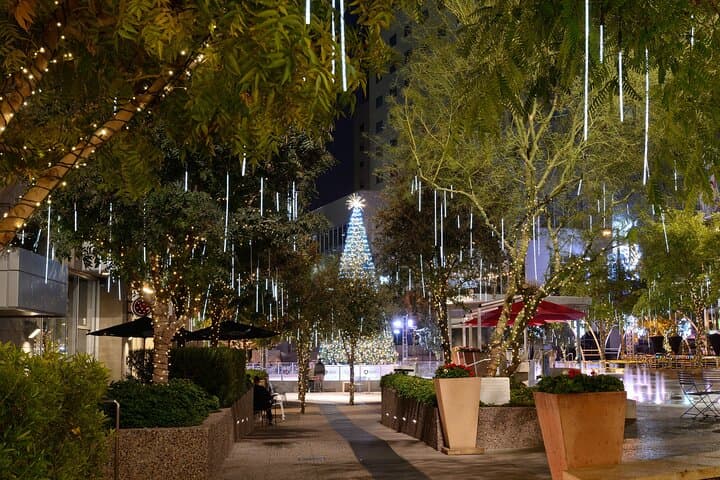 Private Christmas Walking Tour: Phoenix Enchanted Holiday Walk photo 4