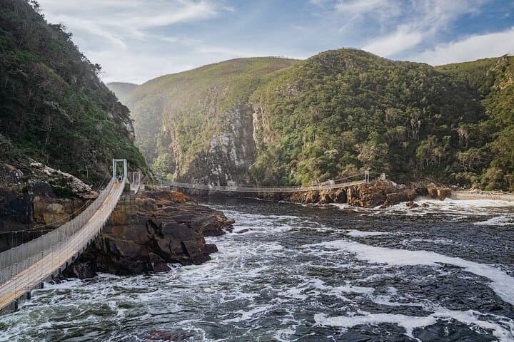 3-Day Garden Route Private Tour from Cape Town — Knysna, Tsitsikamma & Oudtshoorn