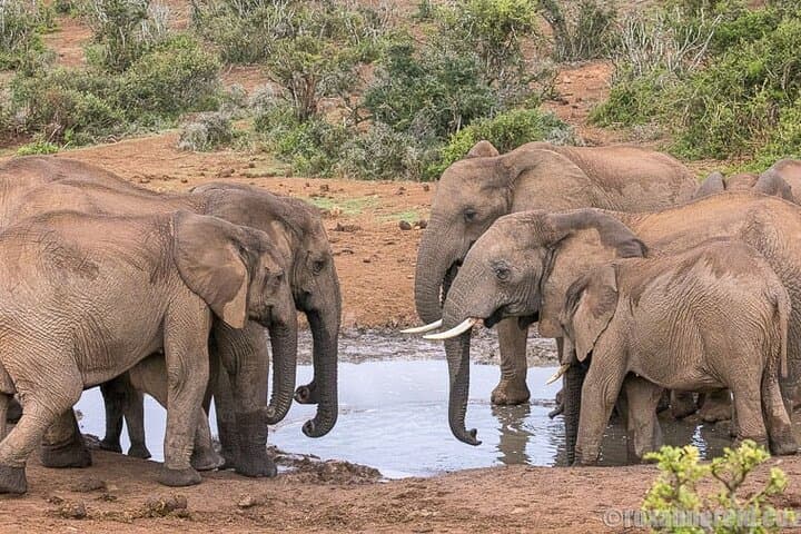 3-Day Garden Route Private Tour from Cape Town — Knysna, Tsitsikamma & Oudtshoorn photo 2