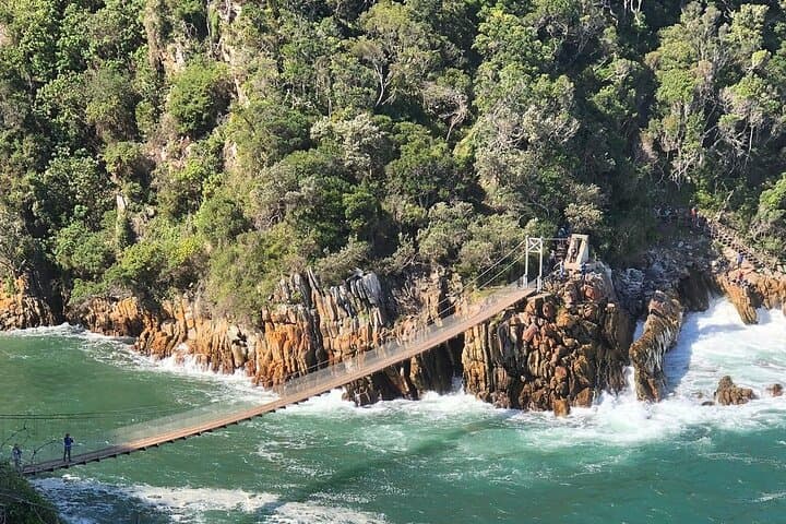 3-Day Garden Route Private Tour from Cape Town — Knysna, Tsitsikamma & Oudtshoorn photo 5