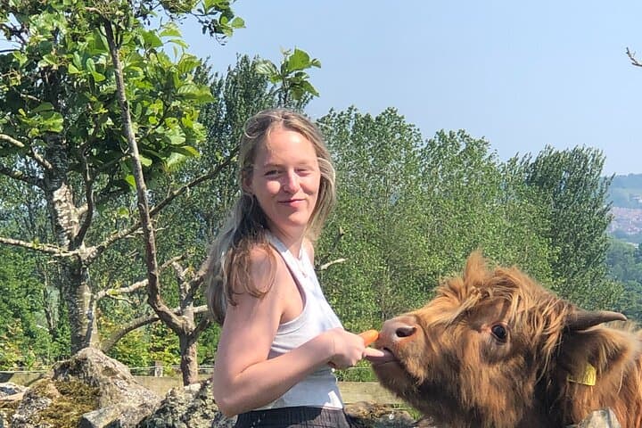 Highland Cows & Alpaca Walks: Scottish Wildlife Centre Tour to the Kelpies photo 3