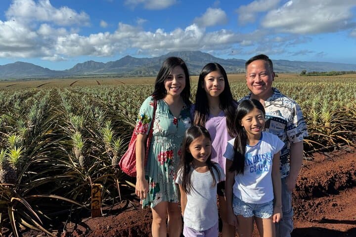 North Shore Dole Pineapple Farm Tour — Taste Oahu's Pineapple History