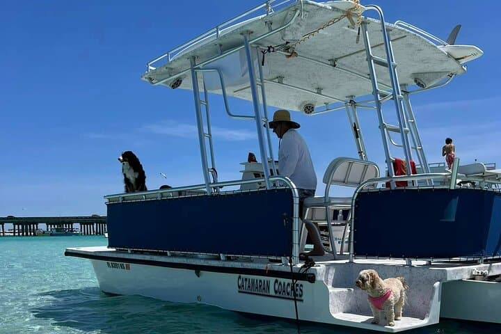 Crab Island Private Pontoon Charter in Destin — Dolphins, Sandbar & Sunset Cruises photo 1