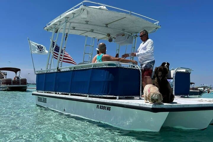 Crab Island Private Pontoon Charter in Destin — Dolphins, Sandbar & Sunset Cruises photo 2