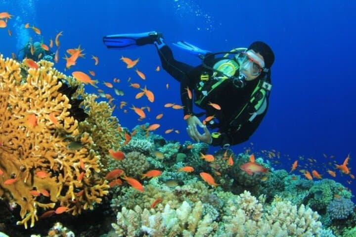 VIP Boat to Ras Mohamed & White Island: Full-Day Snorkel and Dive from Sharm El-Sheikh photo 6