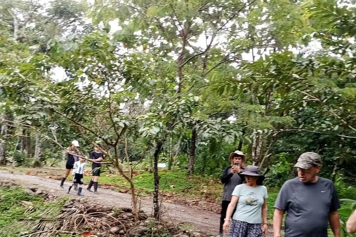 Full-Day Ecuadorian Amazon Jungle Tour from Baños: Puyo River, Quichua Culture & Waterfall Baths photo 4
