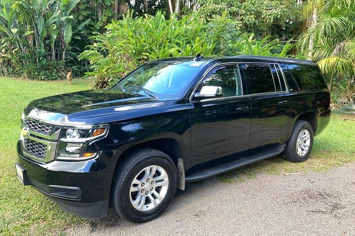 Kauai Cruise Ship Roundtrip Private SUV Transfers from Nawiliwili photo 2