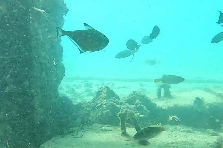 Sanur Snorkeling: Short Jukung Trip to Coral Gardens and Underwater Gate photo 4