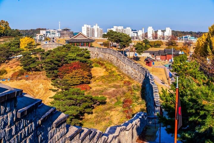 King Cherry Blossoms & Suwon Hwaseong Day Tour from Seoul photo 5
