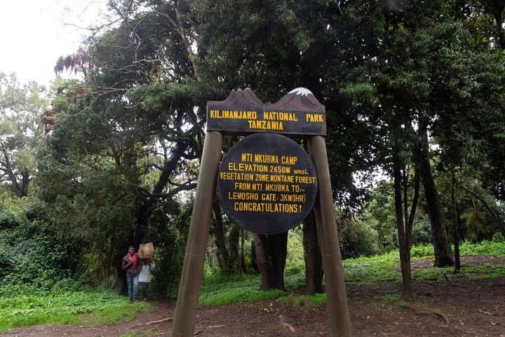 Lemosho Route Kilimanjaro: 7-Day Summit Trek from Forest to Uhuru Peak photo 5