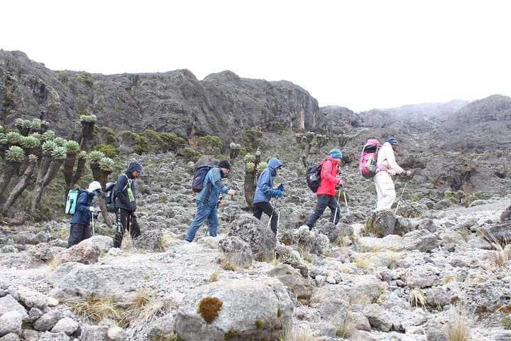 Kilimanjaro Machame Route: 6-Day Summit Trek from Machame Gate to Uhuru Peak photo 5