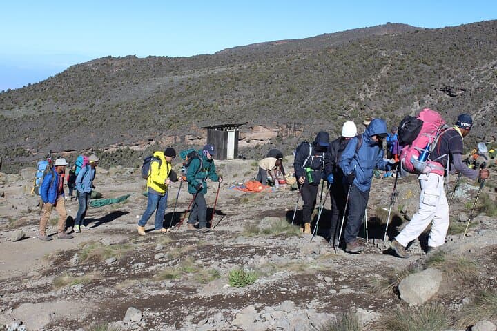 Kilimanjaro Machame Route: 6-Day Summit Trek from Machame Gate to Uhuru Peak photo 6