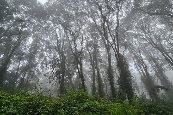 Kilimanjaro Northern Circuit: 8-Day Quiet Route to Uhuru Peak photo 3