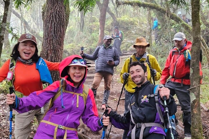 Kilimanjaro Northern Circuit: 8-Day Quiet Route to Uhuru Peak