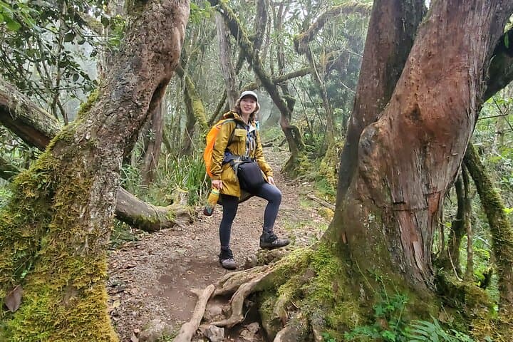 Kilimanjaro Northern Circuit: 8-Day Quiet Route to Uhuru Peak photo 2