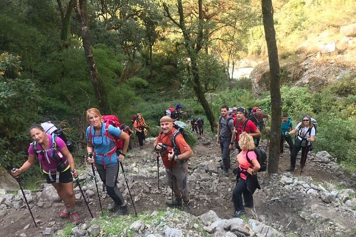 Langtang Valley Trek: A 10-Day Himalayan Trek to Kyanjin Gompa photo 2