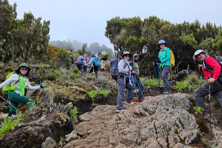 Kilimanjaro Lemosho Route: 8-Day Trek to Uhuru Peak photo 2