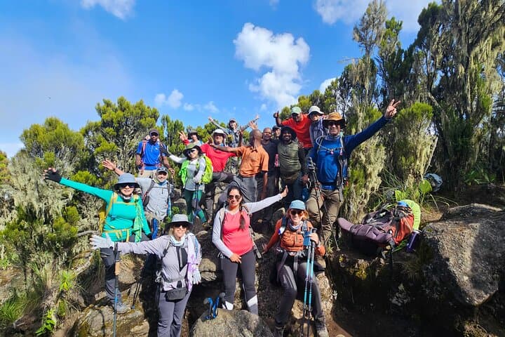 Kilimanjaro Lemosho Route: 8-Day Trek to Uhuru Peak photo 3