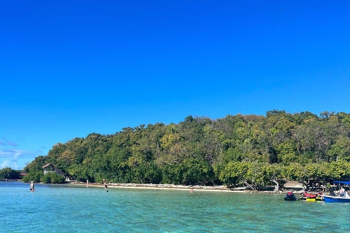 Martinique CaptainManou Boat Tour: Discover the White-Bottoms of Le François & Le Robert photo 4